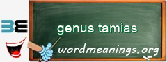 WordMeaning blackboard for genus tamias